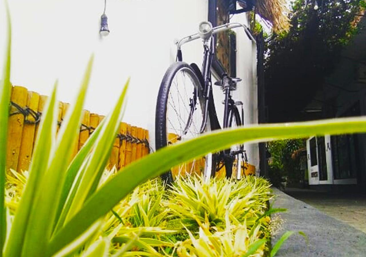 Rumah Roso Homestay Yogyakarta Kültér fotó