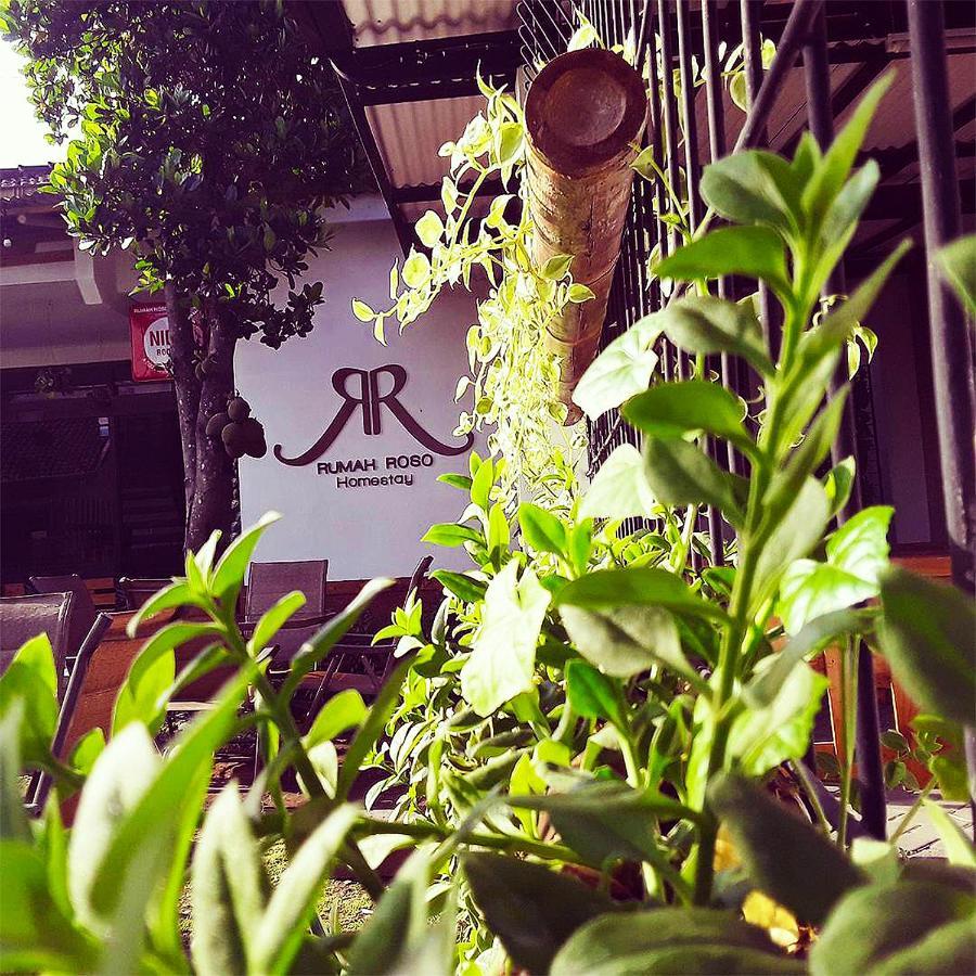 Rumah Roso Homestay Yogyakarta Kültér fotó